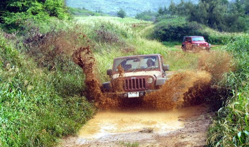 Off Roading in Hawaii